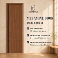 Porte insonorisée en MDF nid d'abeille avec quincaillerie et serrures sur mesure, design minimaliste pour chambre et cuisine