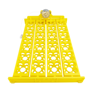 Buona qualità incubatrice per uova di quaglia <span class=keywords><strong>24</strong></span> vassoio per uova di anatra di pollo per incubatrice in plastica - Product Image 5