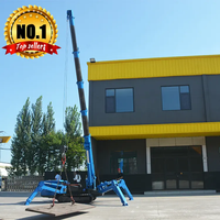 Mini-grue araignée à moteur diesel avec indicateur de moment de charge sécurisé, moteur hydraulique, hauteur de levage de 20 m et économie d'énergie