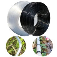 Fil en acier plastique haute résistance, matériau PET, corde de pressage pour film de serre, câble de soutien blanc/noir, accessoires de serre