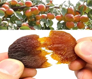 Originale piantare snack sani essiccati fette di frutta <span class=keywords><strong>albicocca</strong></span> nera naturale puro gusto agrodolce <span class=keywords><strong>albicocca</strong></span> secca - Product Image 2