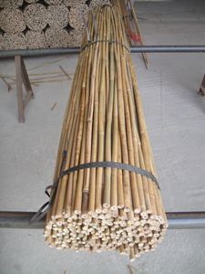 Canne en <span class=keywords><strong>bambou</strong></span> <span class=keywords><strong>de</strong></span> 210 cm <span class=keywords><strong>de</strong></span> diamètre, 20-22 mm, pour jardin, avec une <span class=keywords><strong>durée</strong></span> <span class=keywords><strong>de</strong></span> conservation supérieure à 7 ans - Product Image 3