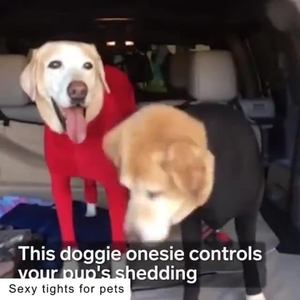 Ropa elástica de cuerpo completo para mascotas, para otoño e invierno, para perros medianos y grandes, gatos, capa base elástica, suministros de ropa para mascotas - Product Image 4