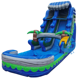Glissière d'eau gonflable de vague bleue de haute qualité de l'usine 18ft de la Chine avec des piscines pour des enfants - Product Image 3