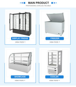 Ventes Directes Usine Congélateur Coffre Double Porte Horizontal Commercial pour Crème Glacée, Supermarché et Restaurant - Product Image 6