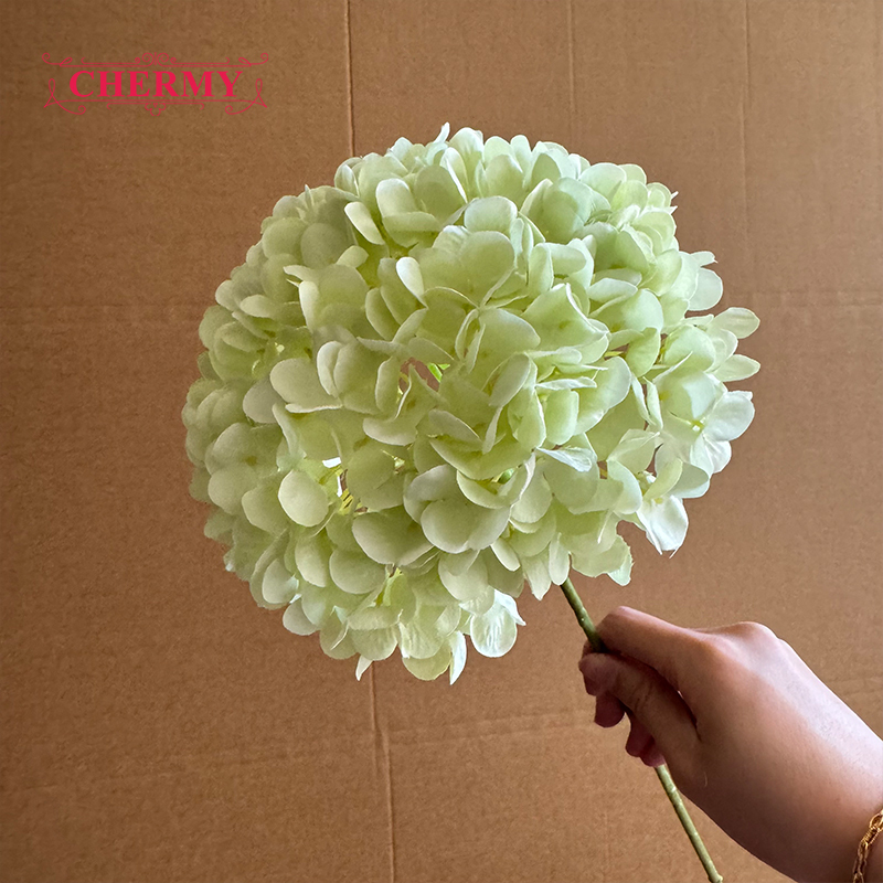 #8 hortensias vert clair - grande tête de 18 cm
