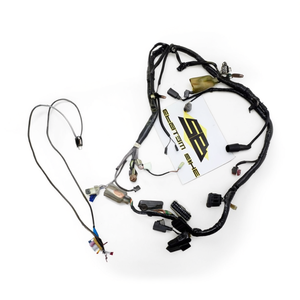 Cablaggio Elettrico Compatibile con Honda Hornet 900, Componente Elettrico per Moto - Product Image 3