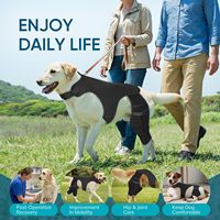 Genouillère de protection en néoprène OEM pour chien, manchon de soutien pour la récupération des pattes arrière du chien, vente en gros