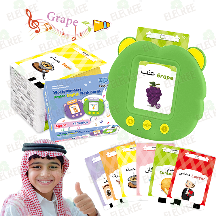 Arabic flash card toy