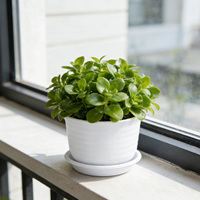 Pot de fleurs en résine plastique épaissie, écologique, avec trou de drainage, design minimaliste, durable, 0,68 L, pour jardinage et maison