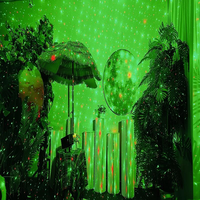 Lumières laser de jardin extérieures à mouvement de luciole RGB à haute luminosité 700 MW pour les décorations de parcs, de jardins, de maisons dans les arbres