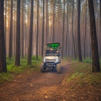 Voiturette de golf électrique Sculpture Park 2, 4 ou 6 places, Moteur AC 48V 5KW, Batterie au lithium, pour navettes de visiteurs, avec plateau utilitaire et porte-bagages