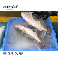 Machine à glace pilée ICESTA |   Équipement professionnel de fabrication de glace à partir d'eau de mer de haute qualité