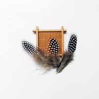 Großhandel Fliegen binden Körper Feder Flügel Schwanz Material Guineafowl Feder 5cm 12cm Länge Fliegen binden Material Fasanen federn