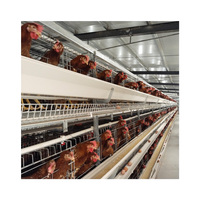 Matériel D'élevage De Volaille automatique Batterie Oeuf Couche Cage de Poulet pour Poules Pondeuses