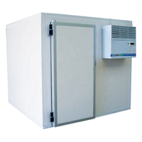 Petite chambre froide, chambre de stockage frigorifique, congélateur à blast, refroidisseur, chambre froide