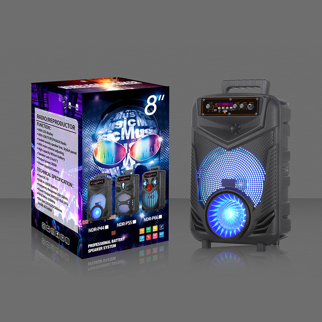 NDR-P44 Portable 8 Inch Woofer Speaker Factory RGB LED Lighting and Remote Control for Karaoke Outdoor Party