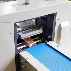 HANNPRO 자동 소변 검사봉 임신 테스트 키트 포장기 핵산 화학 테스트 키트 포장 기계 - Product Image 4