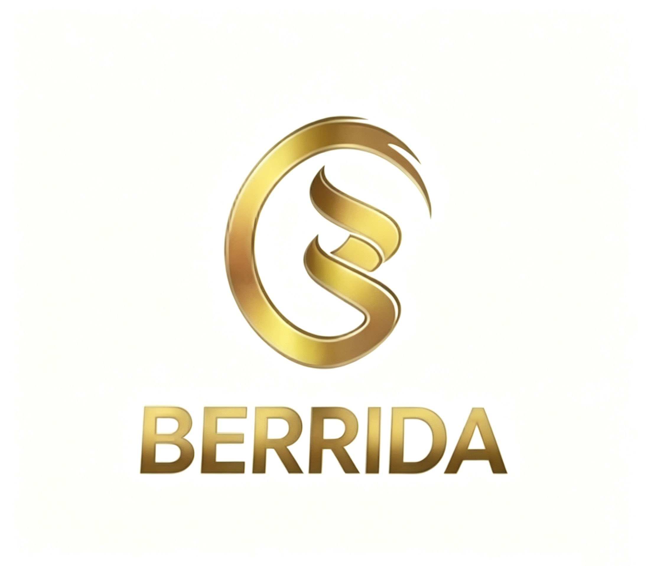 Shenzhen Berrida Crafts Co., Ltd. logo