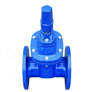 วาล์วประตูเหล็กดัดชนิดหน้าแปลน พร้อมซีลยาง สำหรับน้ำประปา PN16 DN50-DN600 แบบควบคุมด้วยมือ - Product Image 5