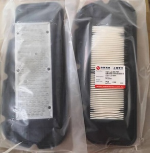 Filtre à air pour SYM Citycom 300, Citycom 300i S, HD 300, 17211-LEA-000 / 17211LEA000, Pièce Dafra n° : 10727-A21A-000, MOQ 500 pièces - Product Image 3