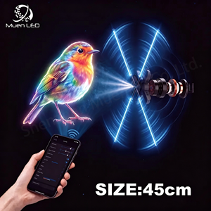 Ventilateur holographique 3D de 45 cm, projecteur holographique LED avec 224 lampes, affichage publicitaire - Product Image 1