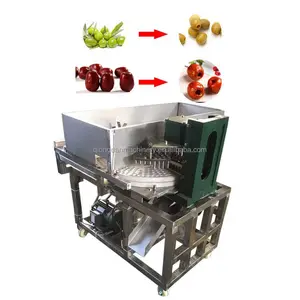 Olive Fruit Core Removing Pitting Machine Cherry Seed Remover Machine Date Olive Hawthorn Fruit Pitting Machine