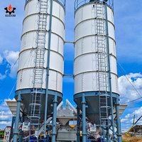 Silo per Cemento, Sabbia e Calcestruzzo Verticale a Basso Prezzo, Capacità da 30 a 1000 Tonnellate, con Fissaggio a Vite