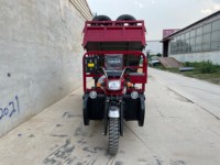 Tricycle à essence 300cc pour adultes, best-seller, convertible, ouvert, moto à essence, véhicule utilitaire cinq roues