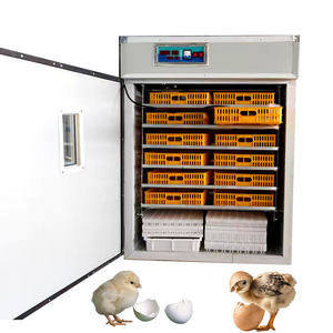 Incubatrice Industriale Commerciale per Uova da 400, 500, 528, 1000, 2000, 3000 Posti - Macchina per la Schiusa delle Uova - Product Image 1