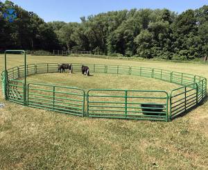 Panneaux de cour de cheval galvanisés durables Utilisation à long terme Installations équines en maille de fer Traitement thermique de maison de contrôle des foules <span class=keywords><strong>3D</strong></span> - Product Image 6