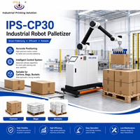 Robot de palettisation haute efficacité IPS-CP30, robot de palettisation de cartons, machine de palettisation, automatisation de la fin de ligne