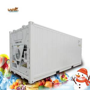 Congelador y enfriador Contenedor refrigerado de 20 pies y 20 pies Equipado con unidad de refrigeración Thermoking a la venta en Dubai - Product Image 1