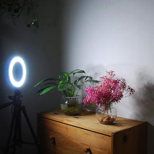 Lampe annulaire LED pour appareil photo, pour vidéo YouTube et maquillage, avec chargeur USB, variateur, support <span class=keywords><strong>de</strong></span> <span class=keywords><strong>Table</strong></span> <span class=keywords><strong>de</strong></span> bureau - Product Image 5