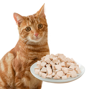 OEM/ODM Alimento para Mascotas, Cubos de Pollo Liofilizados, Carne Pura, Golosinas para Mascotas, Bocadillos para Gatos, Golosinas para Perros, Alimento Nutritivo - Product Image 1