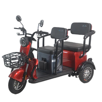 Tricycle électrique familial à deux places pour personnes âgées, 24V 500W, carrosserie ouverte, scooter cargo, pour passagers et enfants