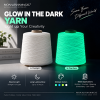 Fil Luminescent pour Tricoter, Tisser des Chapeaux, des Sacs et des Jouets, Fil Lumineux Rechargeable par la Lumière, Fournisseur d'Usine Personnalisé