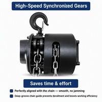 Palans électriques à chaîne série DHS Zhong Sheng avec moteur en cuivre pur