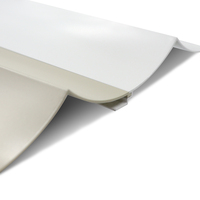 Paneles de Techo y Cortina de Pared de Aleación de Aluminio Serie 6000 de Alta Calidad, Temperatura T3~T8, con Formas Especiales y Corte Preciso