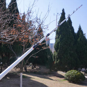 CRONYナマズロッド,中国高速配送フィーダーフィッシングロッドヘビーデューティー炭素繊維ナマズロッド - Product Image 5