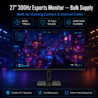 Monitor Gaming QHD 27 Inci 300Hz Fast IPS 2560x1440 Pasokan Massal untuk Arena Esports Warnet OEM Logo Kustom