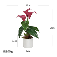 2025 Grosir Bunga Tulip Bonsai Buatan 28cm dalam Pot Bahan PE untuk Dekorasi Kantor