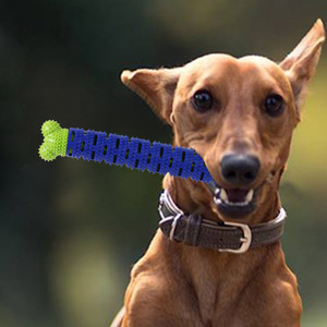 JOYSING Juguetes para Perros Ecológicos y Duraderos con Forma de Cactus, Estilo de Dibujos Animados, de TPR, con Sonido de Chirrido, para Jugar en Interiores/Exteriores - Product Image 2