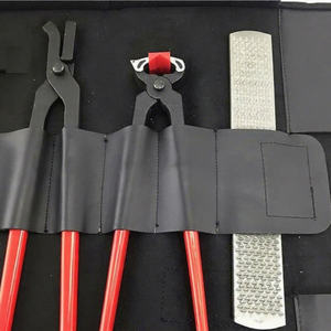 Kit d'outils de soin des sabots pour chevaux, professionnel, réutilisable, en acier inoxydable, robuste, pour ferrerons vétérinaires - Product Image 1