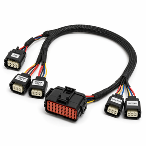 Arnés de Cableado Personalizado para ATV <span class=keywords><strong>Quad</strong></span> Solvet, TE AMP Superseal de 12 Pines AWG22 FLRY-B, Revestimiento de Nailon Impermeable para TRX Foreman - Product Image 2