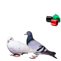 Tag S256 RFID Pigeon Ring ISO11784/11785 pour le suivi des courses et la gestion de l'élevage ABS durable étanche