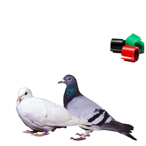 <span class=keywords><strong>Tag</strong></span> S256 Rfid Duivenring Iso11784/11785 Voor Racen Tracking & Fokbeheer Duurzame <span class=keywords><strong>Abs</strong></span> Waterdicht - Product Image 4