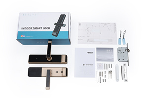Serrure intelligente pour porte en bois SINON, en alliage d'aluminium, avec connexion Wi-Fi Cloud, application Tuya TTlock, pour maison et usage industriel, serrure électronique pour porte d'entrée. - Product Image 2