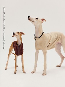 Winter Leisure High Collar Elastic Zipper Solid Vest <strong>Dog</strong> Yoga <strong>Clothes</strong> Small Greyhound <strong>Sausage</strong> Fox Terrier Warmth Spandex Acrylic - Product Image 1