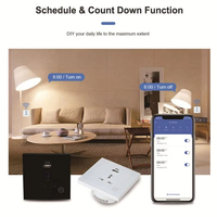Enchufe de Pared Inteligente con Control por Voz Tuya Alexa Google, Enchufe Universal con Puerto USB, Interruptor Inteligente con Control por WiFi